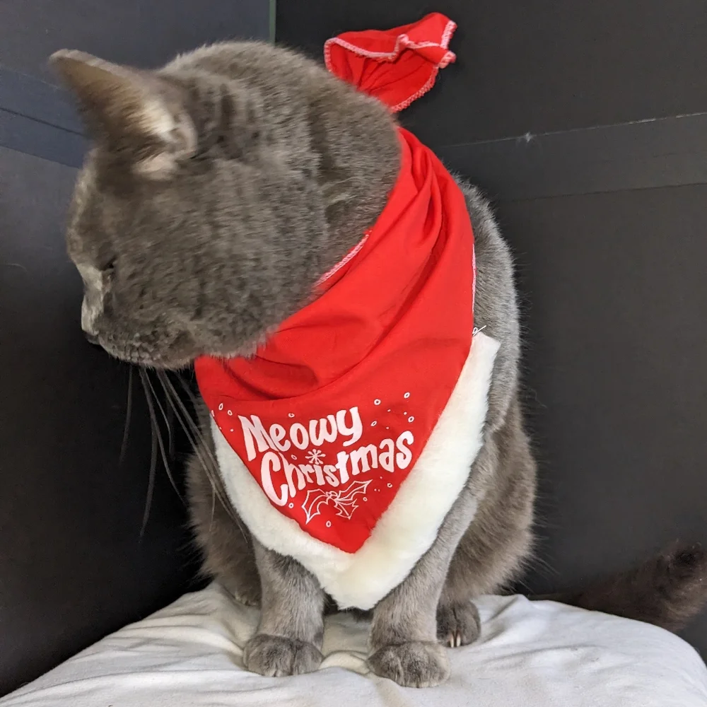🏈 Cat bandana EUC Meowy Christmas red white fur